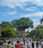 Disney's Animal Kingdom Theme Park