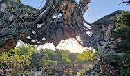 Disney's Animal Kingdom Theme Park