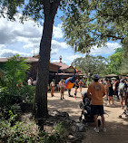 Disney's Animal Kingdom Theme Park