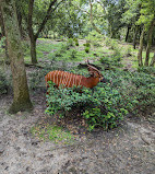 Disney's Animal Kingdom Theme Park