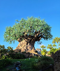 Disney's Animal Kingdom Theme Park