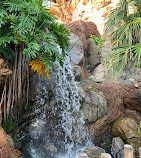 Disney's Animal Kingdom Theme Park