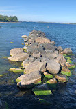 Centre Island Pier