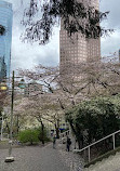 Burrard Skytrain Station