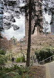 Burrard Skytrain Station