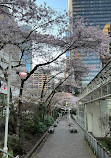 Burrard Skytrain Station