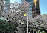 Burrard Skytrain Station