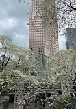 Burrard Skytrain Station