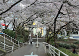 Burrard Skytrain Station