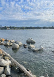 Vancouver Seawall