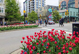 Burrard Dry Dock Pier