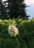 Lookout Mountain Lookout