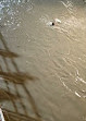 Har Ki Pauri, Haridwar