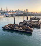 PIER 39