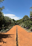 Babylonstoren Wine Estate