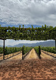 Babylonstoren Wine Estate