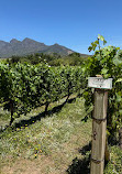 Babylonstoren Wine Estate