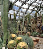 Botanical Garden and Botanical Museum