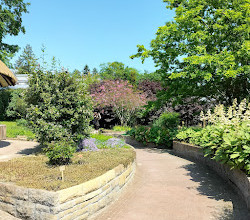 Botanical Garden and Botanical Museum