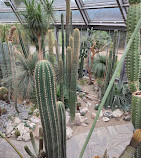 Botanical Garden and Botanical Museum