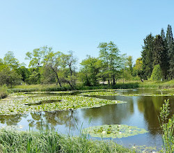 Botanical Garden and Botanical Museum