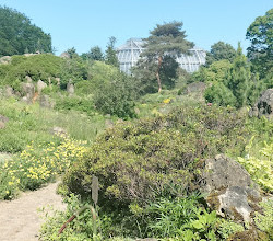 Botanical Garden and Botanical Museum