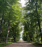 Botanical Garden and Botanical Museum