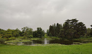 Botanical Garden and Botanical Museum