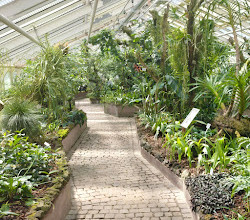 Botanical Garden and Botanical Museum