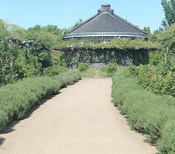 Botanical Garden and Botanical Museum