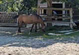 Riverdale Farm