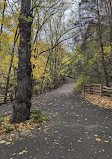 Riverdale Farm