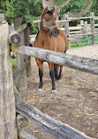 Riverdale Farm