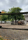 Riverdale Farm