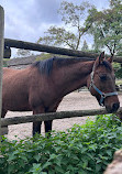 Riverdale Farm