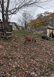 Riverdale Farm