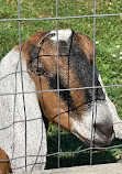 Riverdale Farm