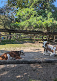 Riverdale Farm