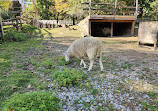 Riverdale Farm