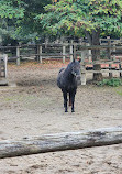 Riverdale Farm