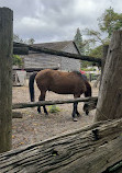 Riverdale Farm