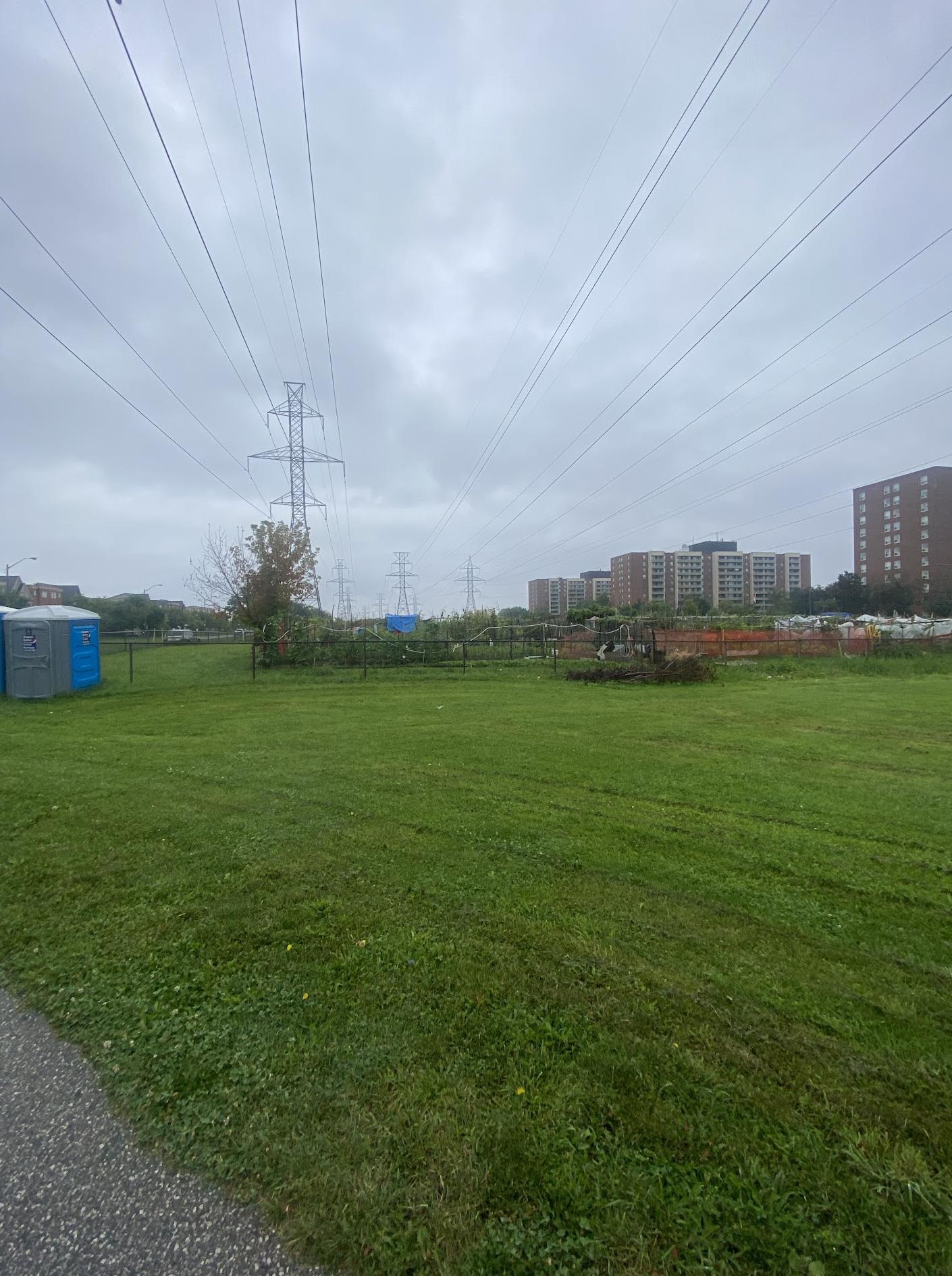 Four Winds Allotment Gardens