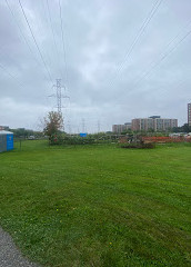 Four Winds Allotment Gardens