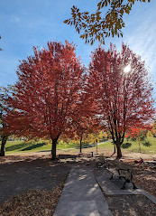 Christie Pits Park