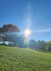 Christie Pits Park