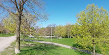 Christie Pits Park