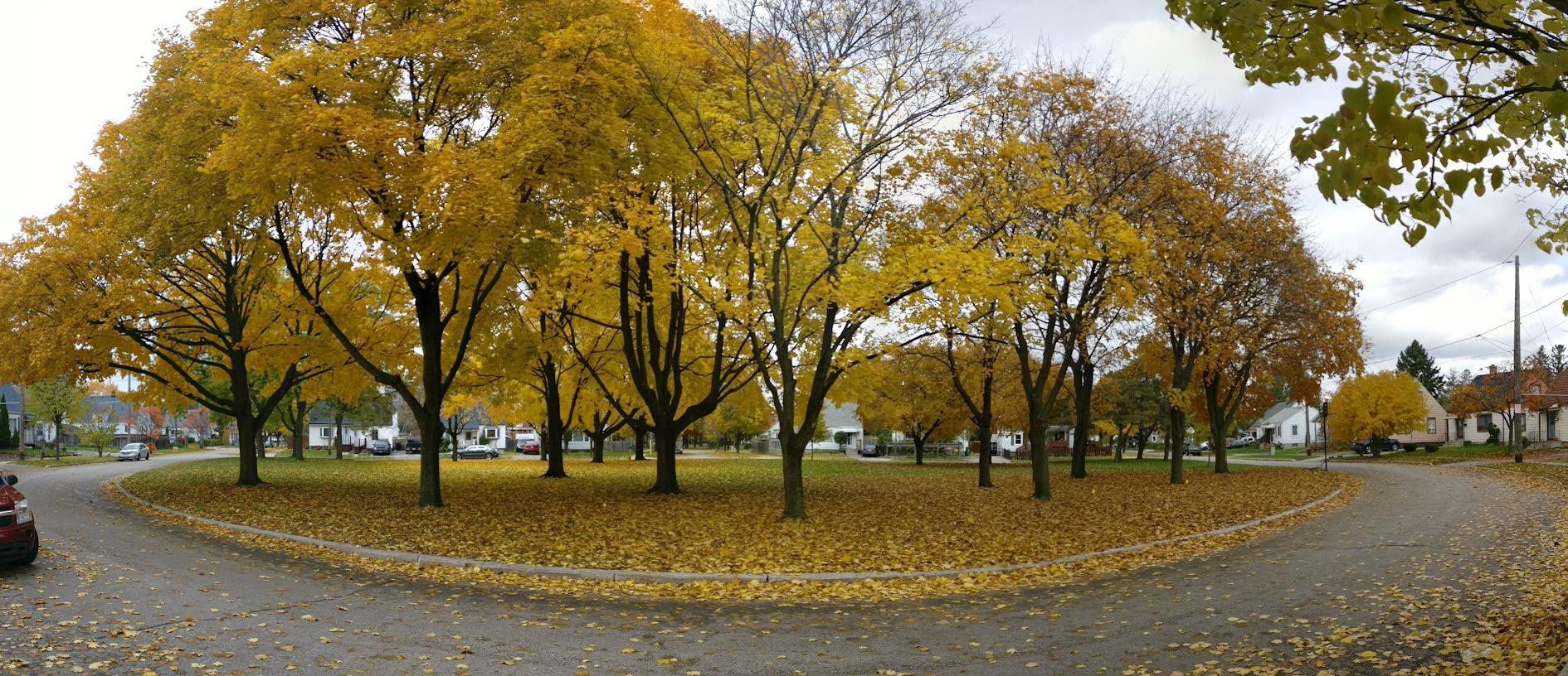 Parc Hearst Circle