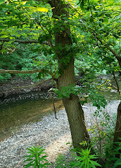 Parc de la vallée d'Écho