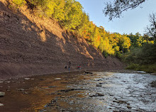 Lions Valley Park