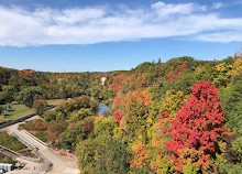 Lions Valley Park